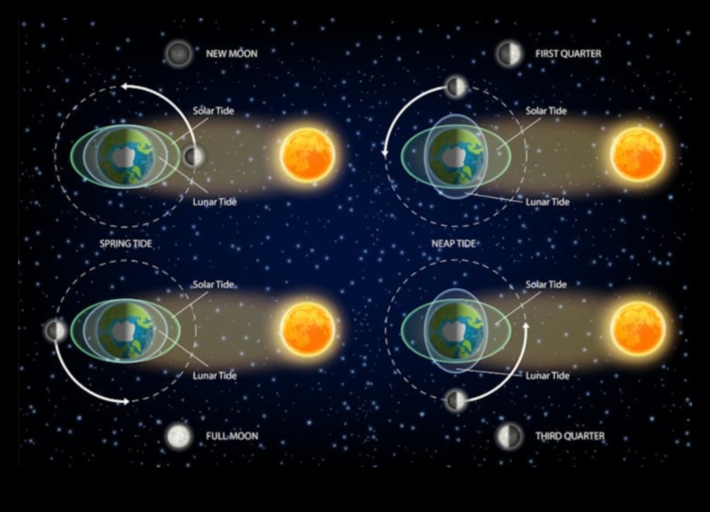 Orbital Insights Un ghid pentru dansul complicat al corpurilor cerești 2 Perspective orbitale: navigarea subtilităților căilor celesti