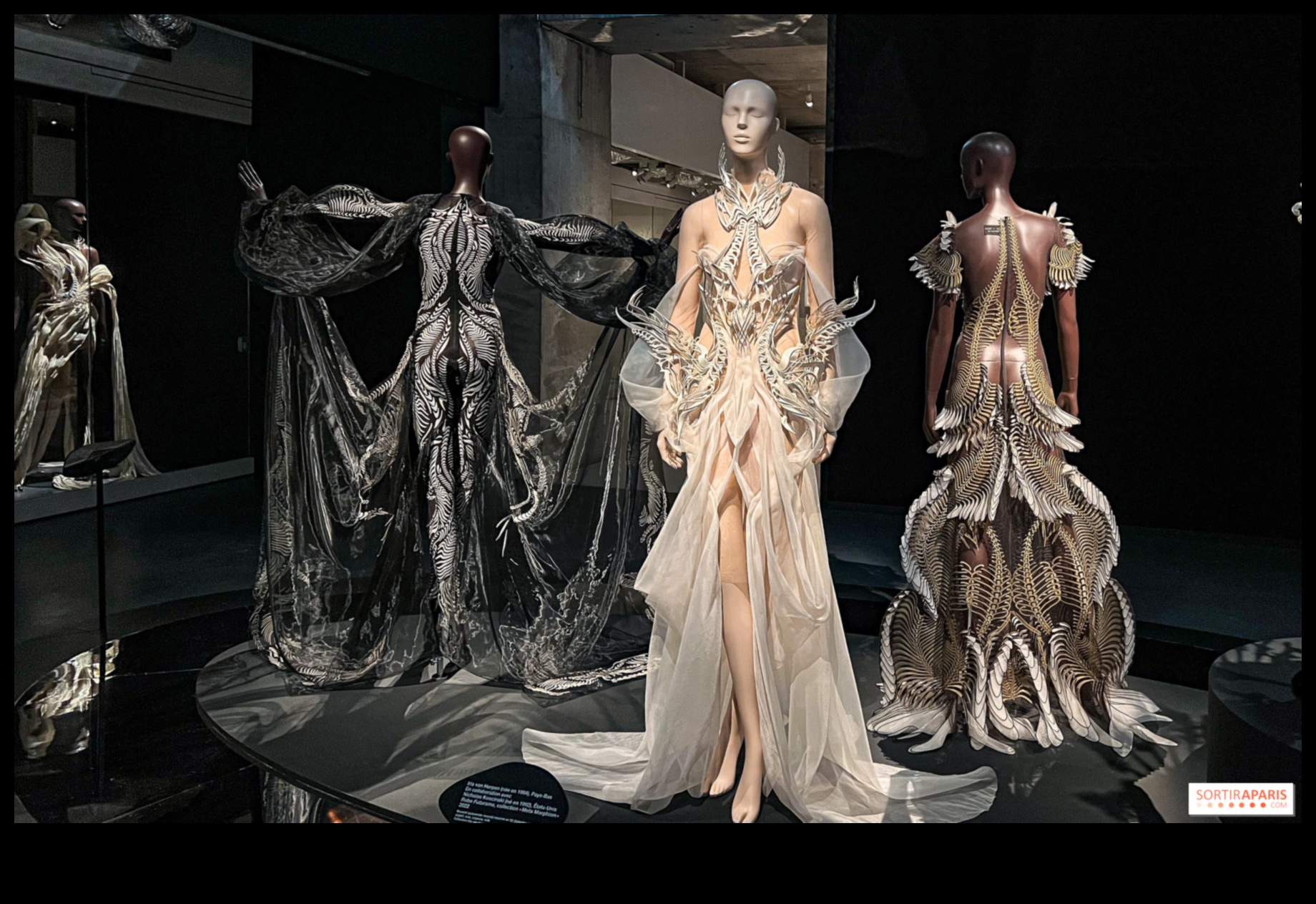 Haute Heritage O călătorie vizuală prin trecutul și prezentul modei 4 Haute Heritage: O călătorie vizuală în capturi de modă