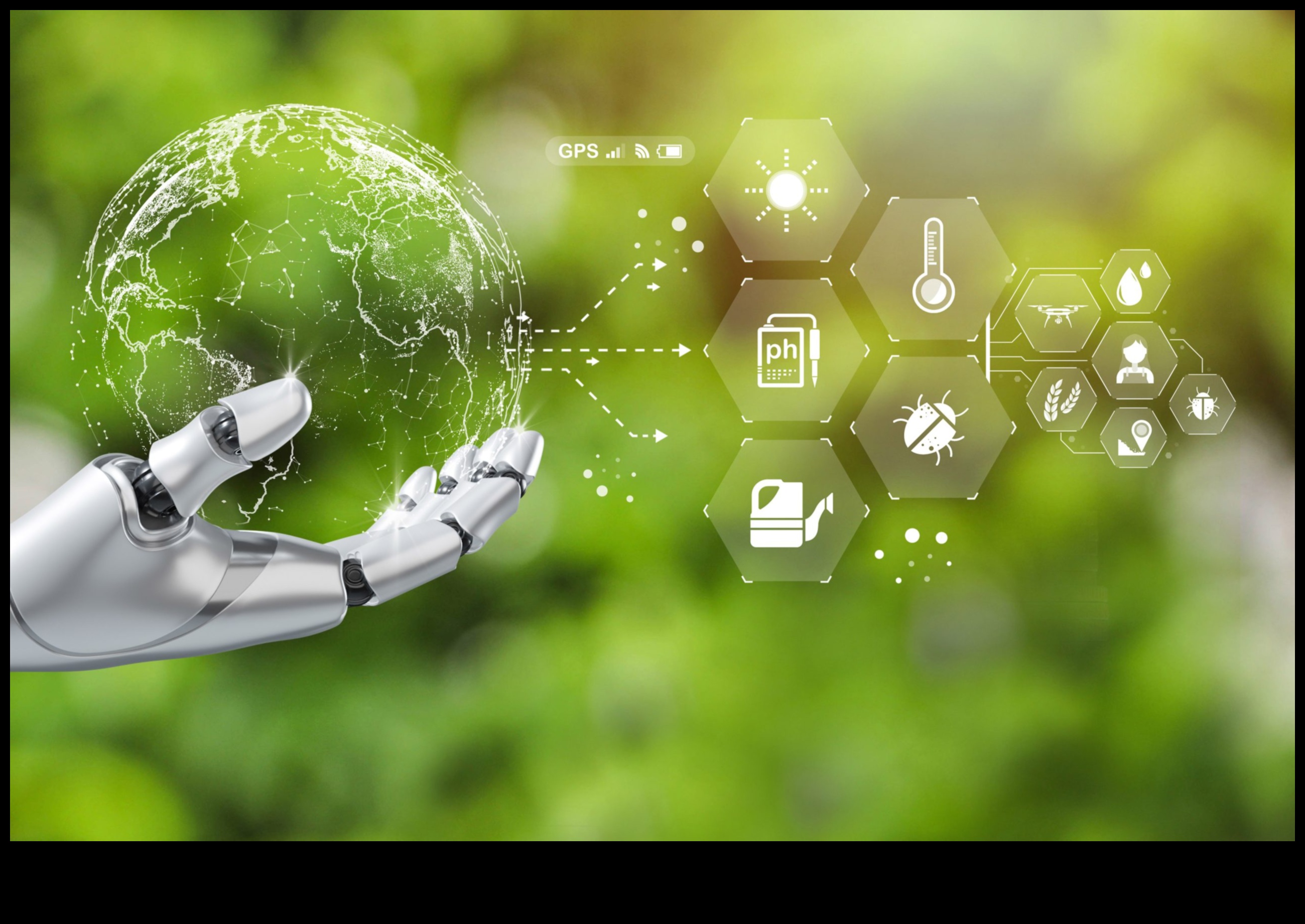 Imagini ecologice: Camere cu practici de design durabil