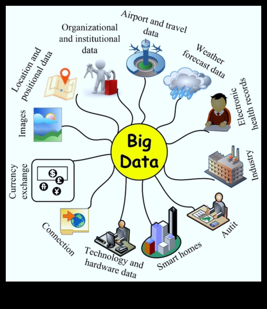 De la date la diagnostic: un ghid cuprinzător pentru tehnologia informației în sănătate