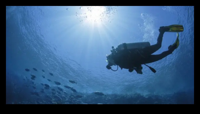 Oceanele de date se scufundă adânc în peisajul vast al datelor mari 2 Oceane de date: navigarea peisajului vast al datelor mari