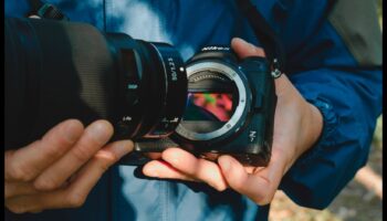 Imagini ecologice: Camere cu practici de design durabil